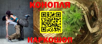 шишки Волжск