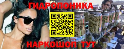 шишки Волжск