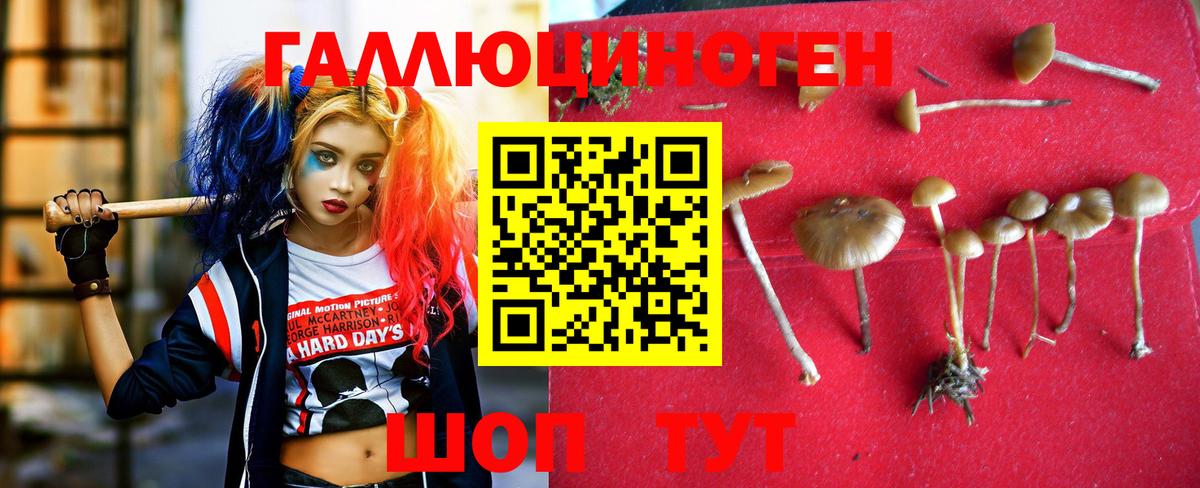 Галлюциногенные грибы MAGIC MUSHROOMS Верхняя Салда