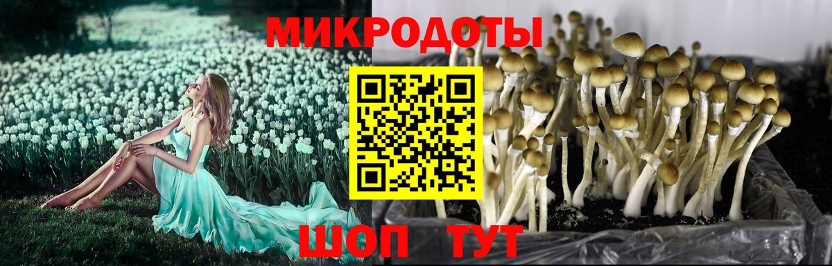 Галлюциногенные грибы ЛСД  Вход с VPN  Верхняя Салда 